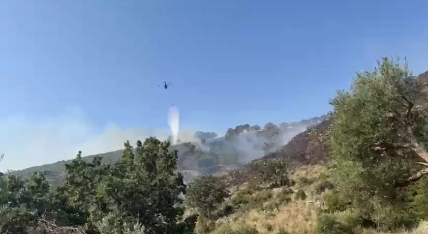 Arrestohen zjarrvënësit në Qeparo dhe Pilur, digjen sipërfaqe të mëdha me shkurre