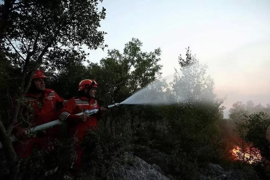 “Zbuten” zjarret, shuhen një pjesë e mirë e vatrave në vendin tonë