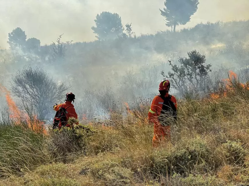 Zjarri në Shpirag; ndërhyrje nga mali dhe toka për të shuar flakët